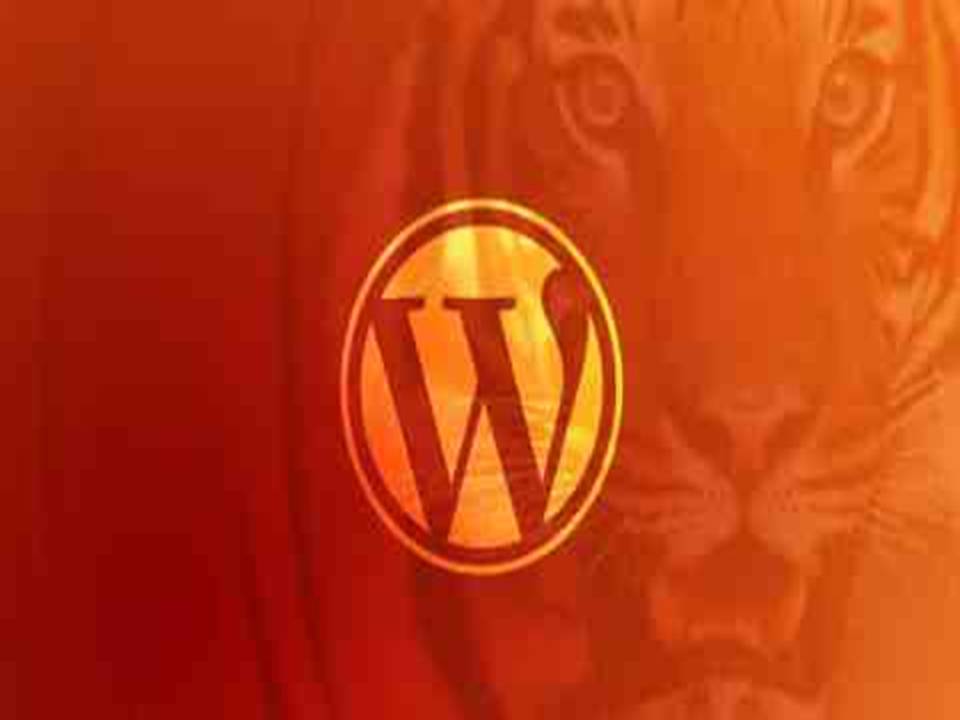 WordPress Developer Certification Course