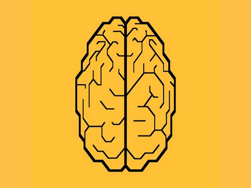 Social Engineering Course