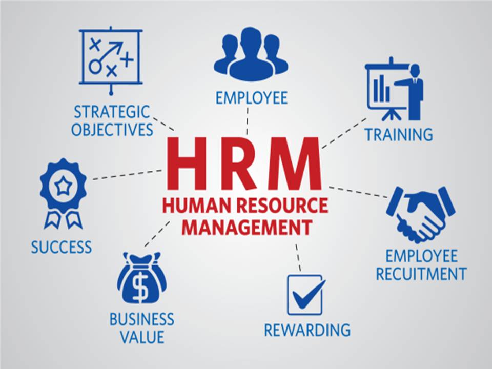 Human Resource Management Course