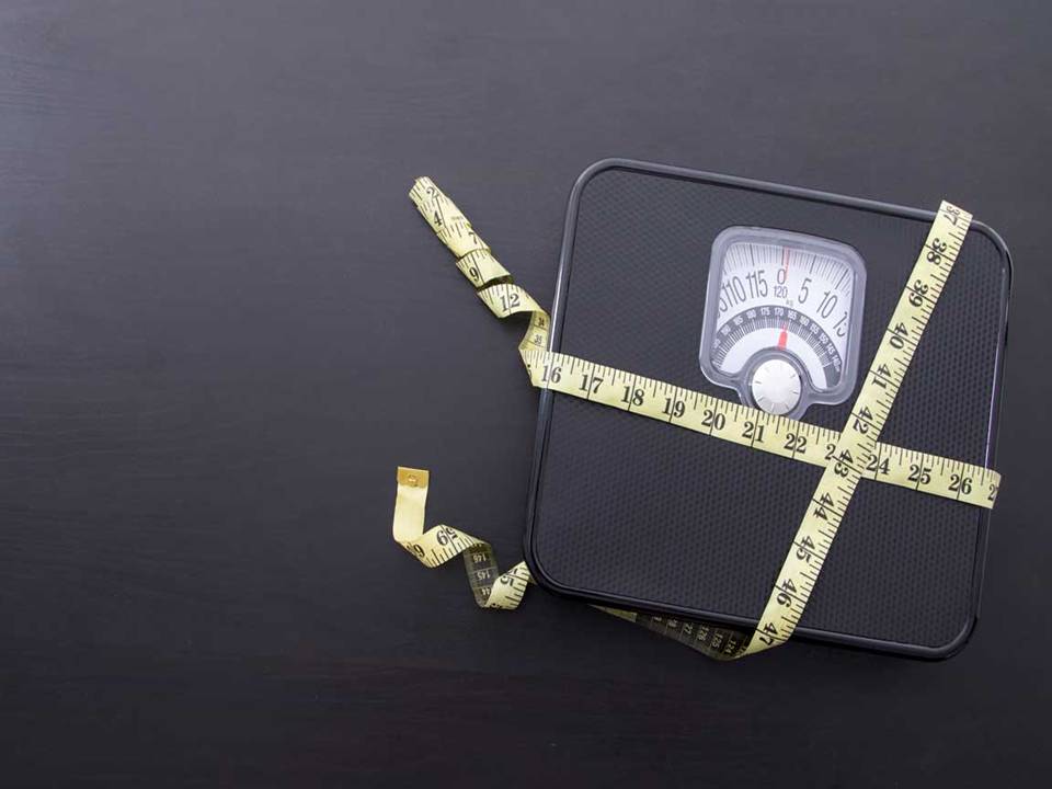 Weight Loss  Certification