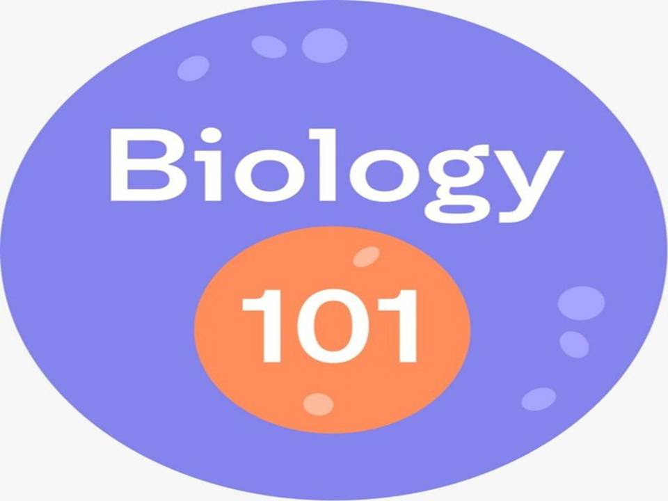 Biology 101 A Complete O Level Course