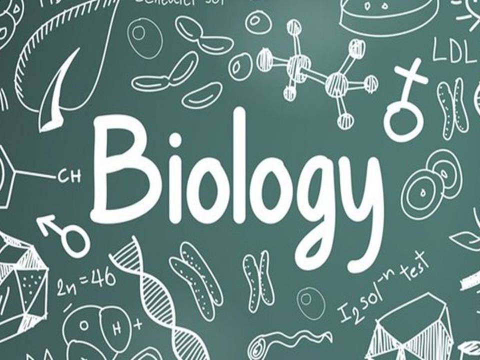 Biology Foundation Course