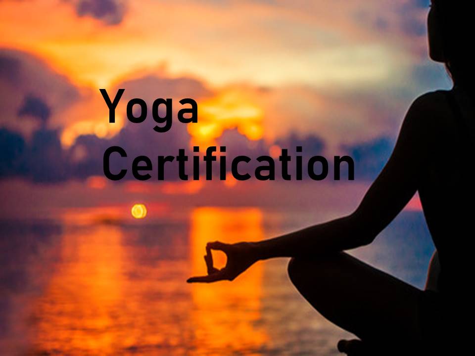 Yoga Course I Training I Certification