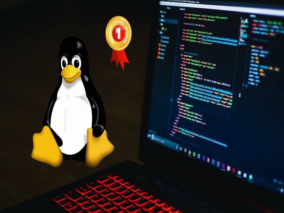 Comprehensive Linux Bash Shell Scripting Course