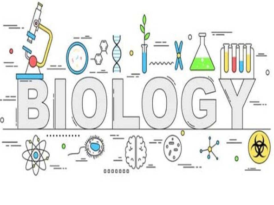Biology - Biological Classification