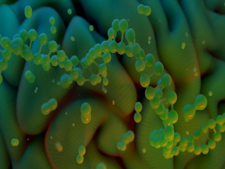 Biology I Organisms I Populations Course