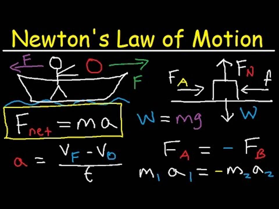 Physics I Newton's Laws of Motion I AP Physics I IIT JEE I NEET