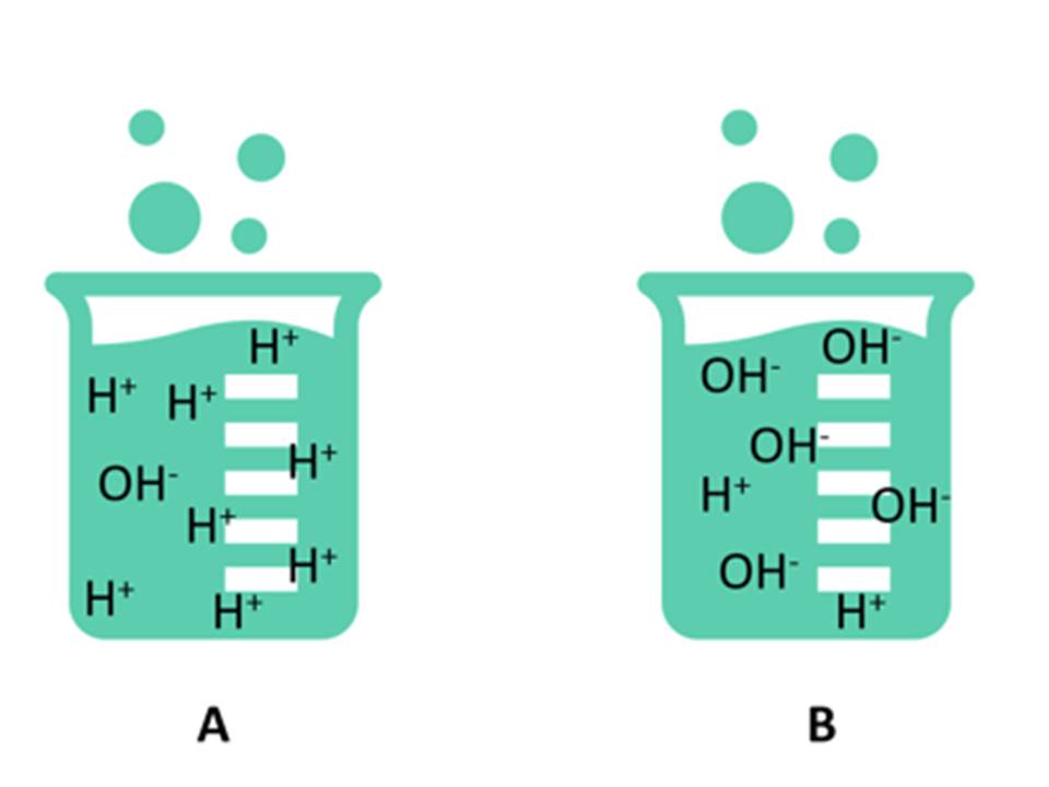 Acids I  Bases I Chemistry Course