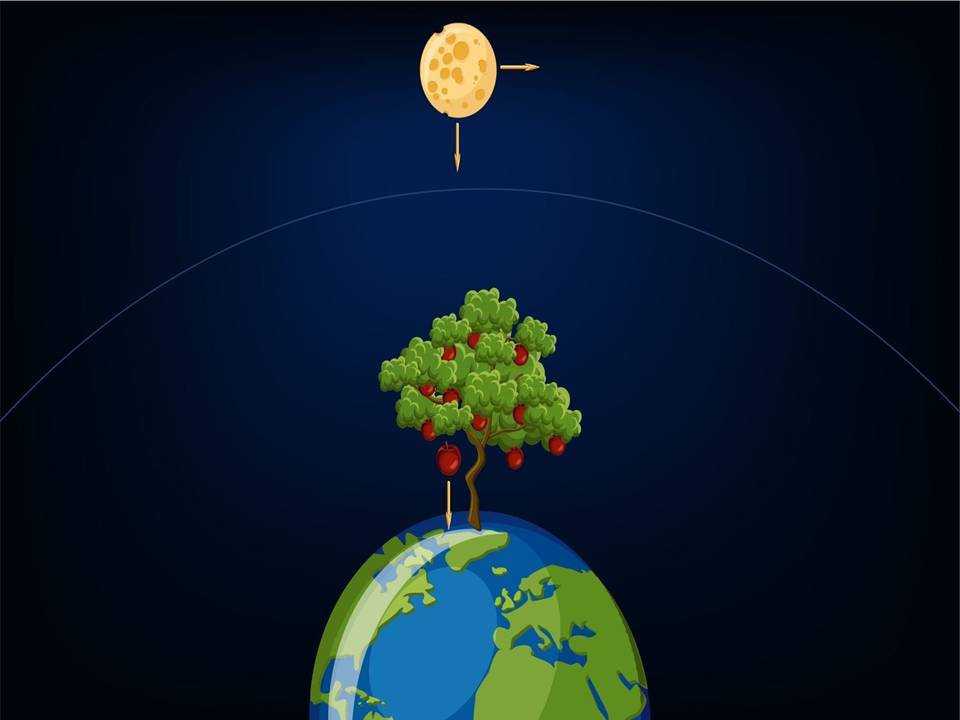 Physics I Gravitation Course