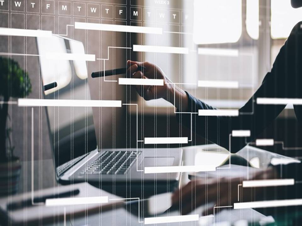 Project I Risk Management I Microsoft Project I Leadership Certification Course