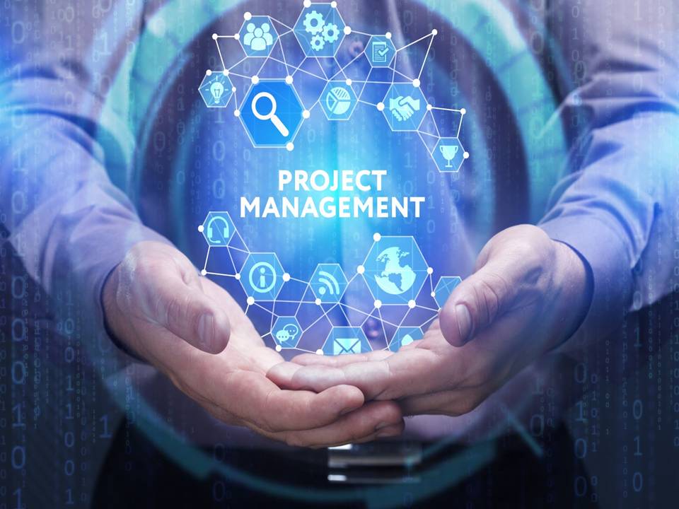 Basic I.T. Project Management Certification Course