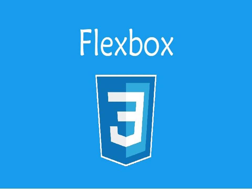 Complete CSS I Sass Flexbox I Grid I  Animations I Training I Course I Certification
