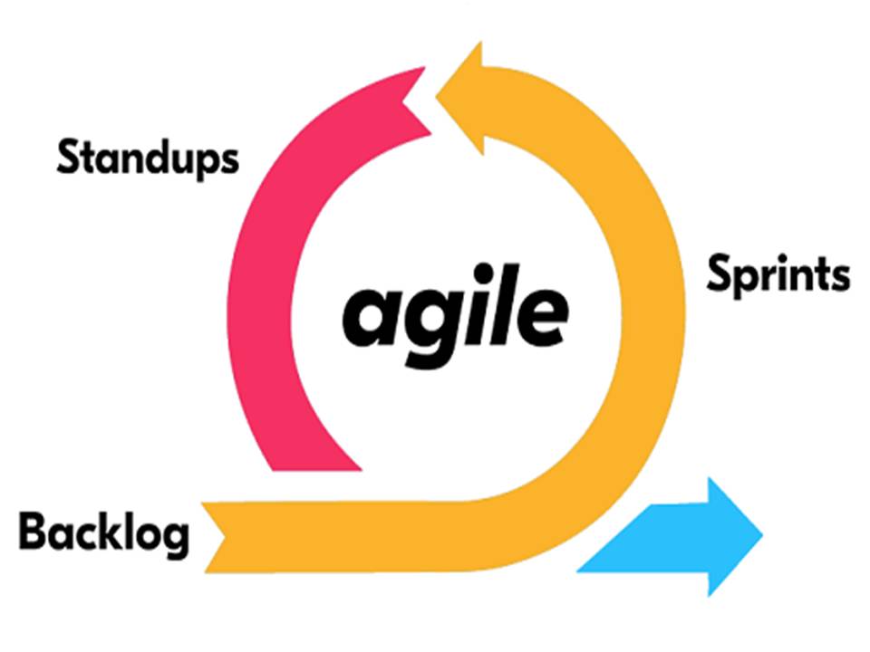 Systemic Agile Coaching Course