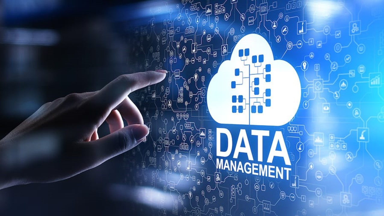 Beginner  Data Management Certification Course