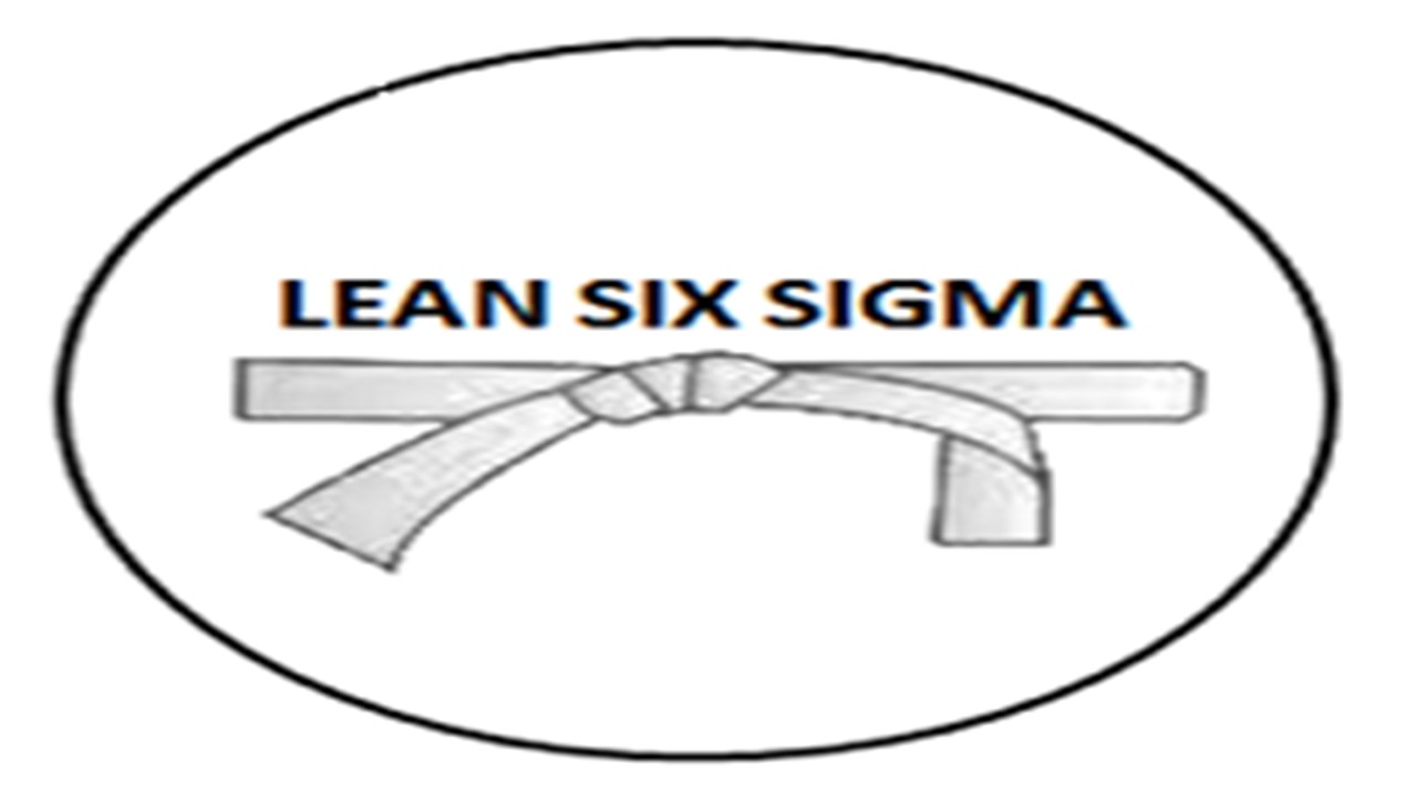 Lean Six Sigma White Belt Hindi