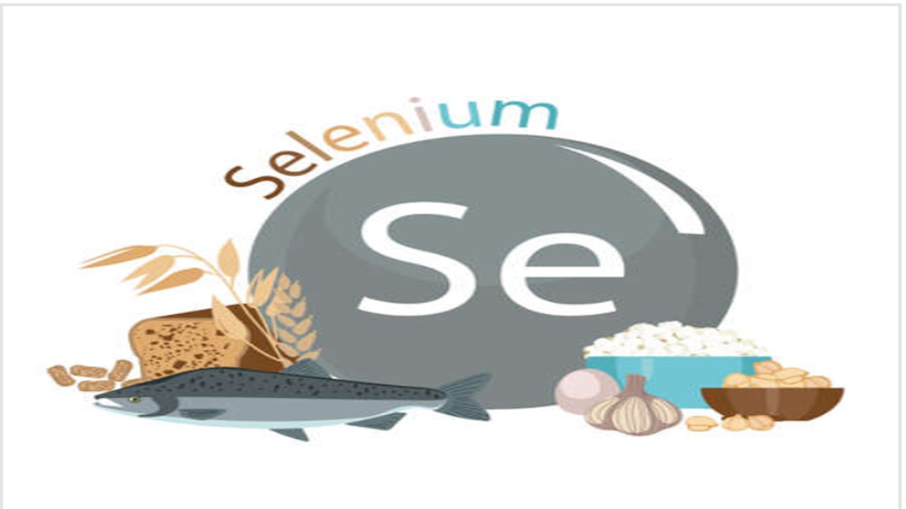 Selenium Certification