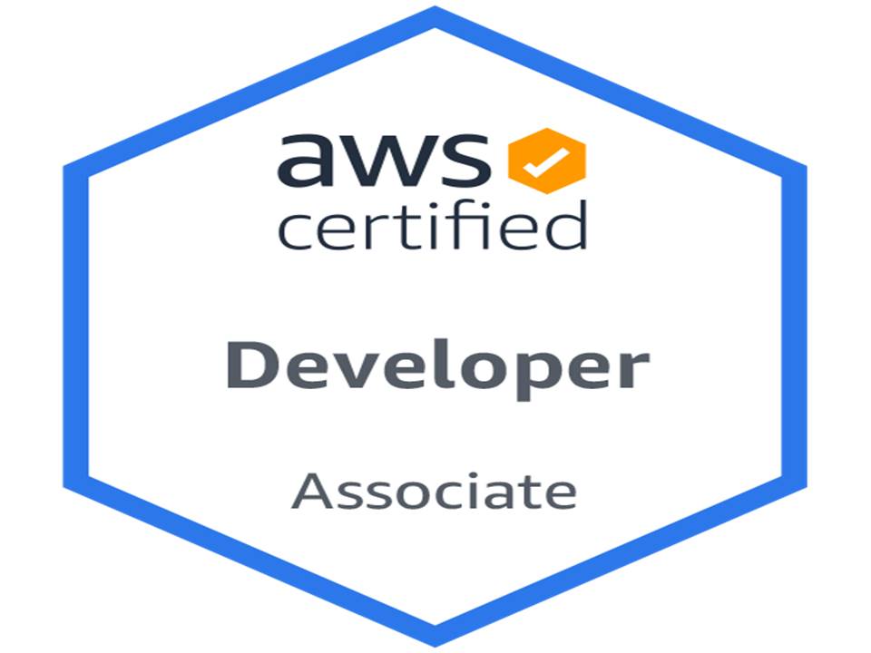 AWS I Developer Associate Course